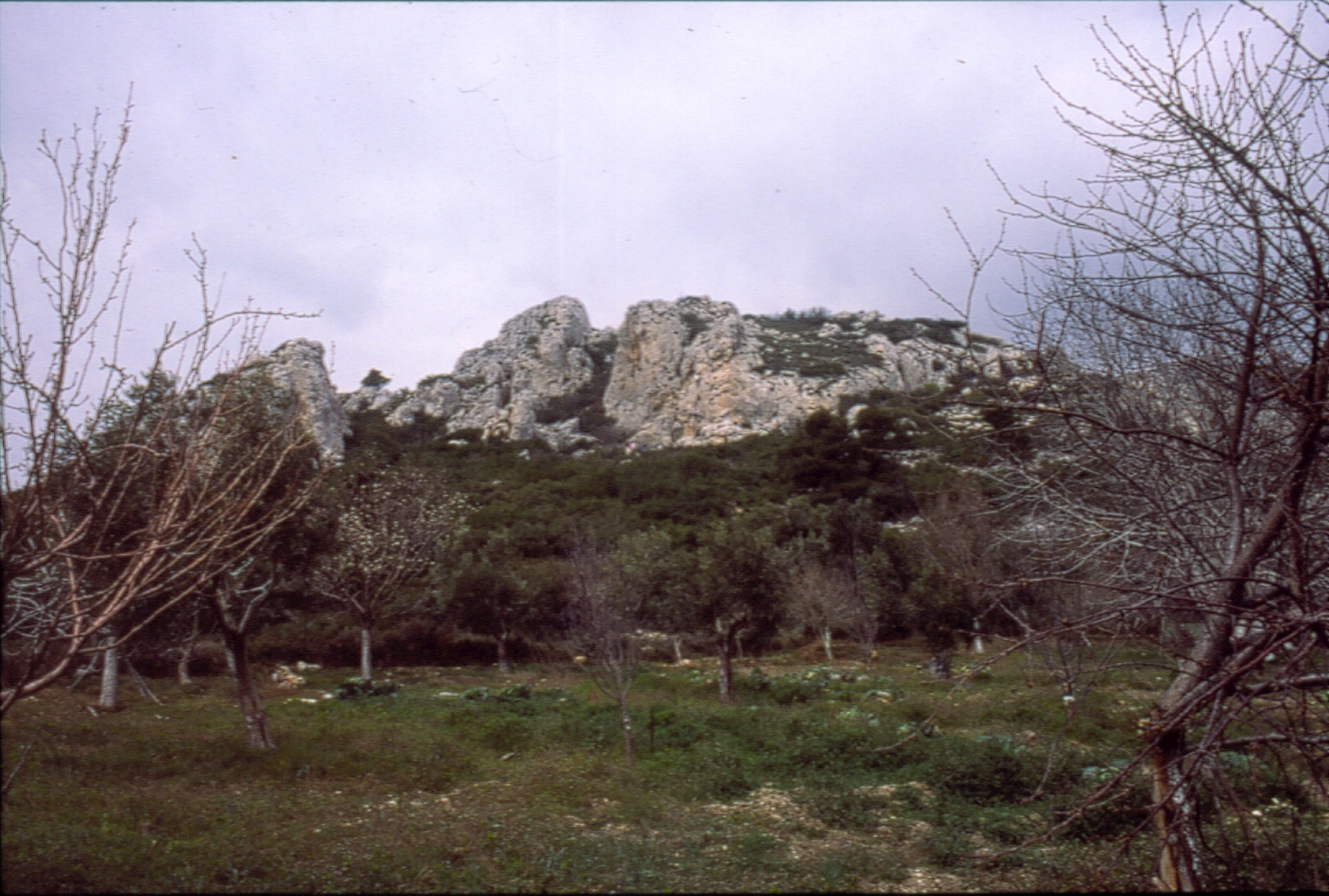 1992 Κοινότητα Αναρρίχηση